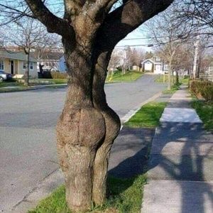 Meet your Posher, Dotty